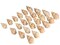 Hermit Crab Shells 1 1/2"- 2 1/4" Turbo Shells 24 Pack Babylonia Spirata Shells